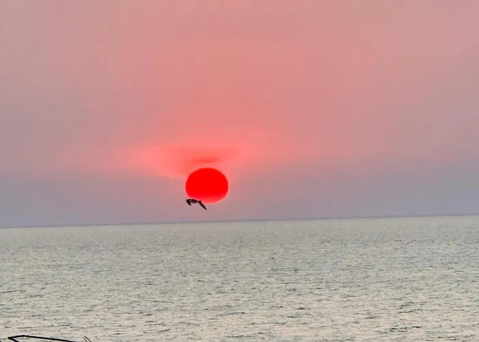 White Sea Premium Mamaia Nord *